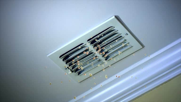 Best Professional Duct Cleaning Services  in Rancho Cumonga, CA